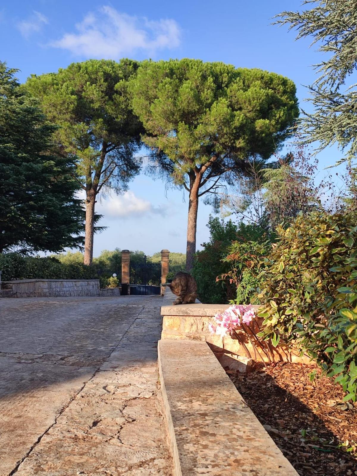 Villa Ostuni Монополи Екстериор снимка